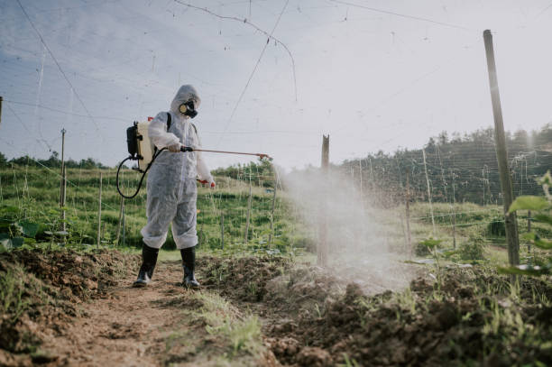 Best Local Pest Control Services  in Pennville, PA