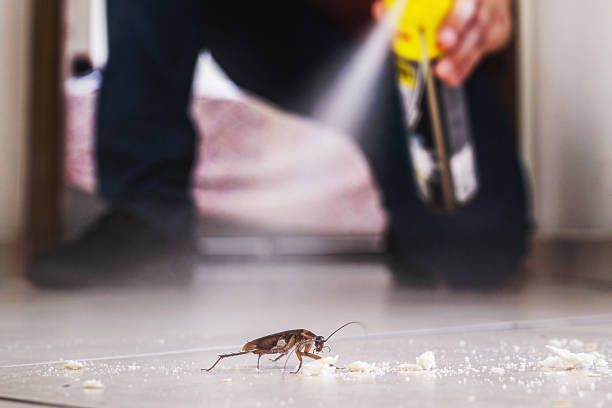 Best Pest Removal Services  in Pennville, PA