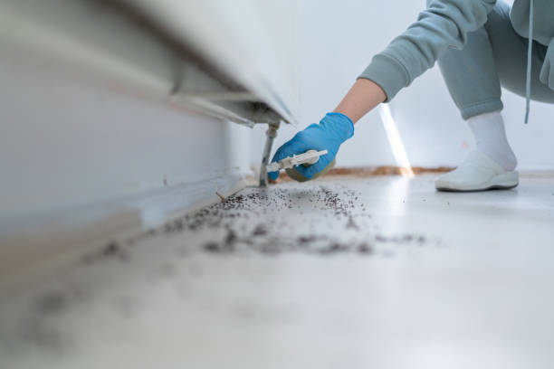 Best Insect Control  in Pennville, PA